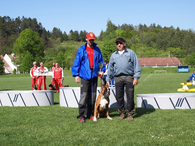 www.atibox.net * www.euroboxer.eu * www.boxergenealogia.eu